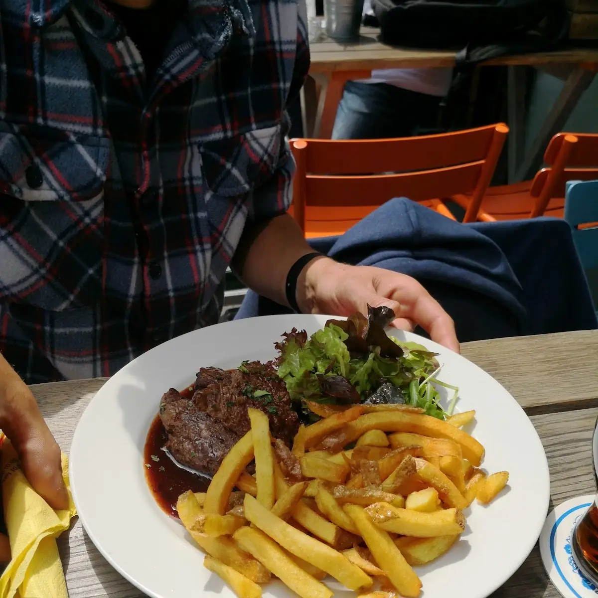 Alligator Steak