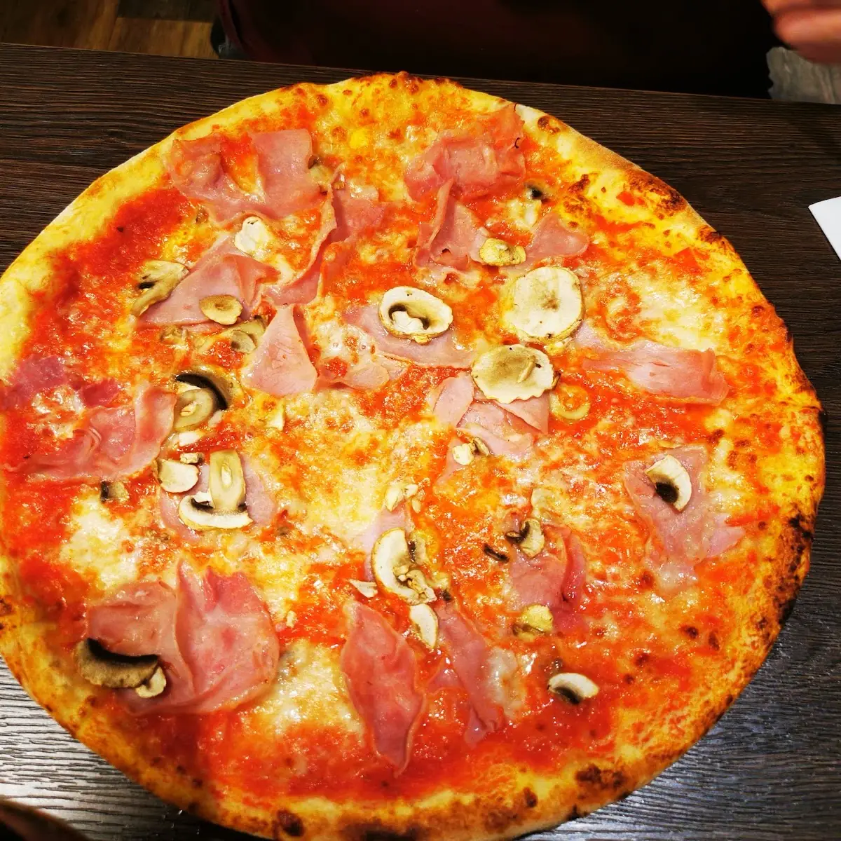 Pizza Funghi