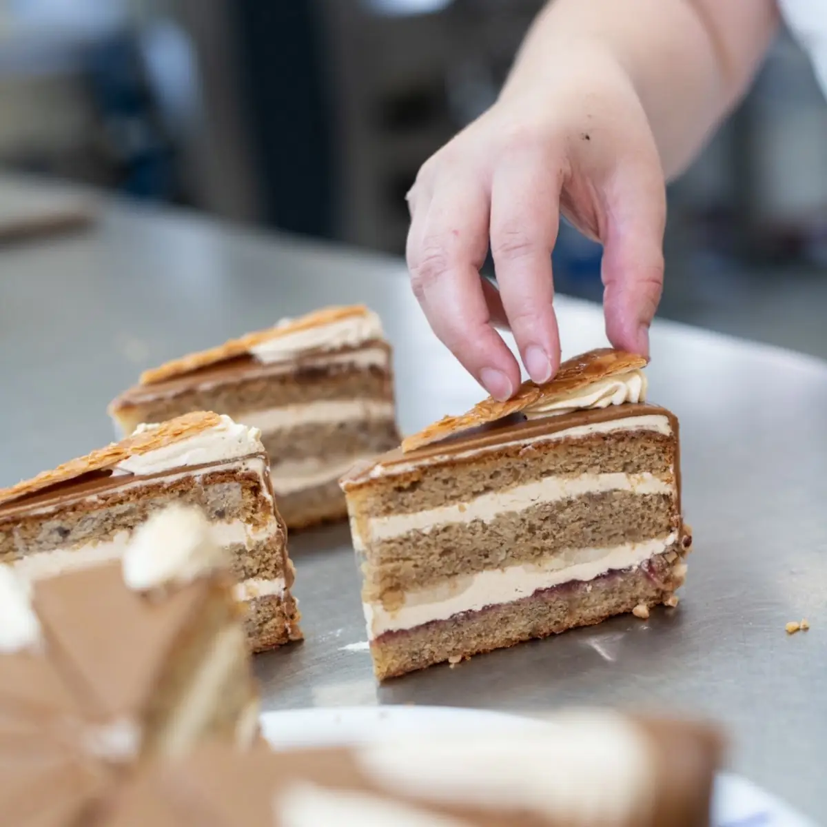 Highlight 16