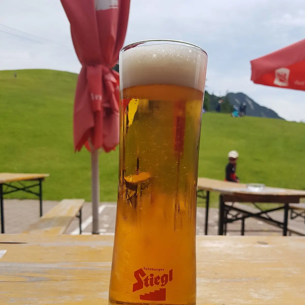 Bier