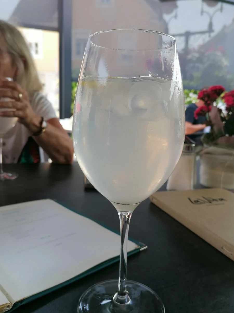 Zitronen Wasser Mit Kohlensäure