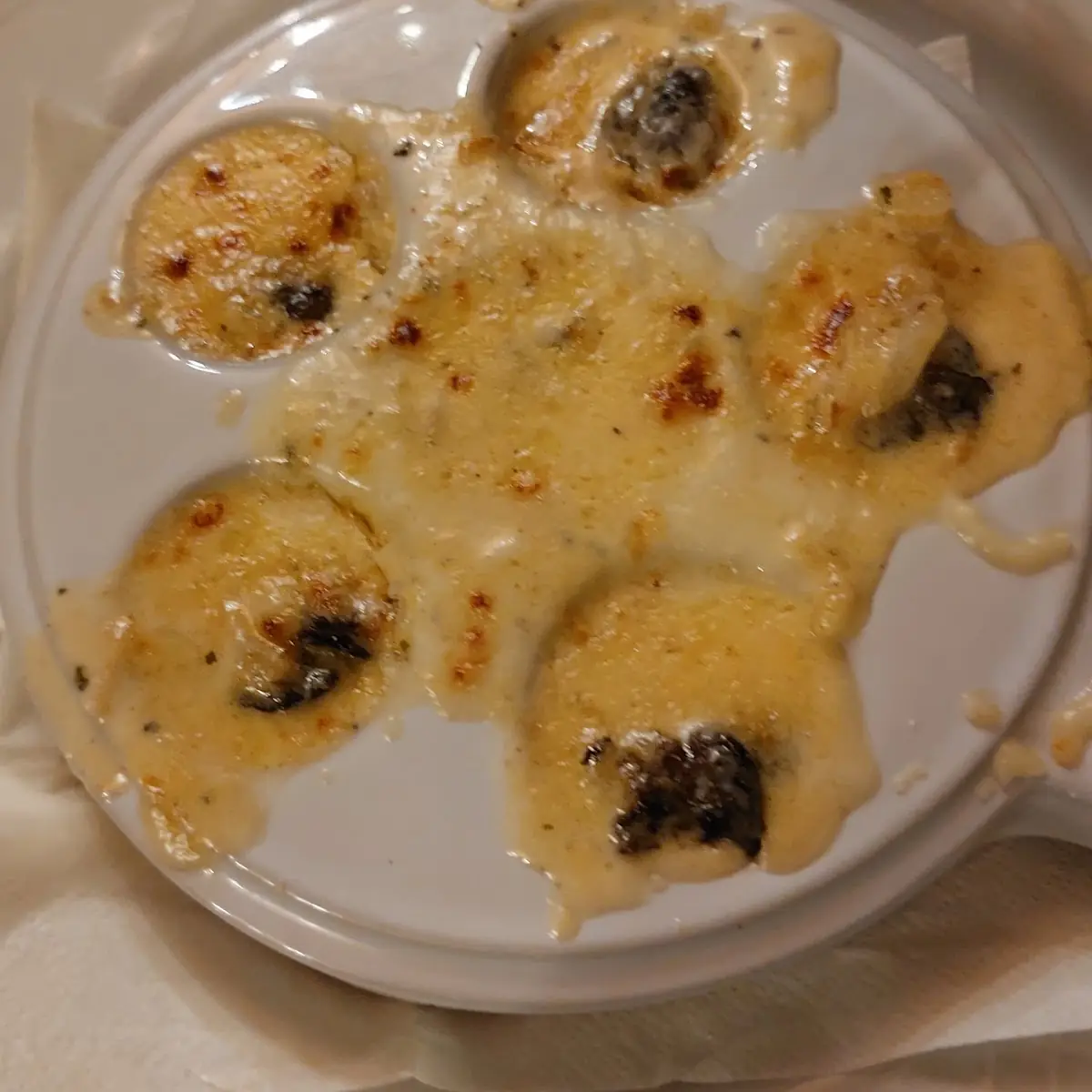Schnecken