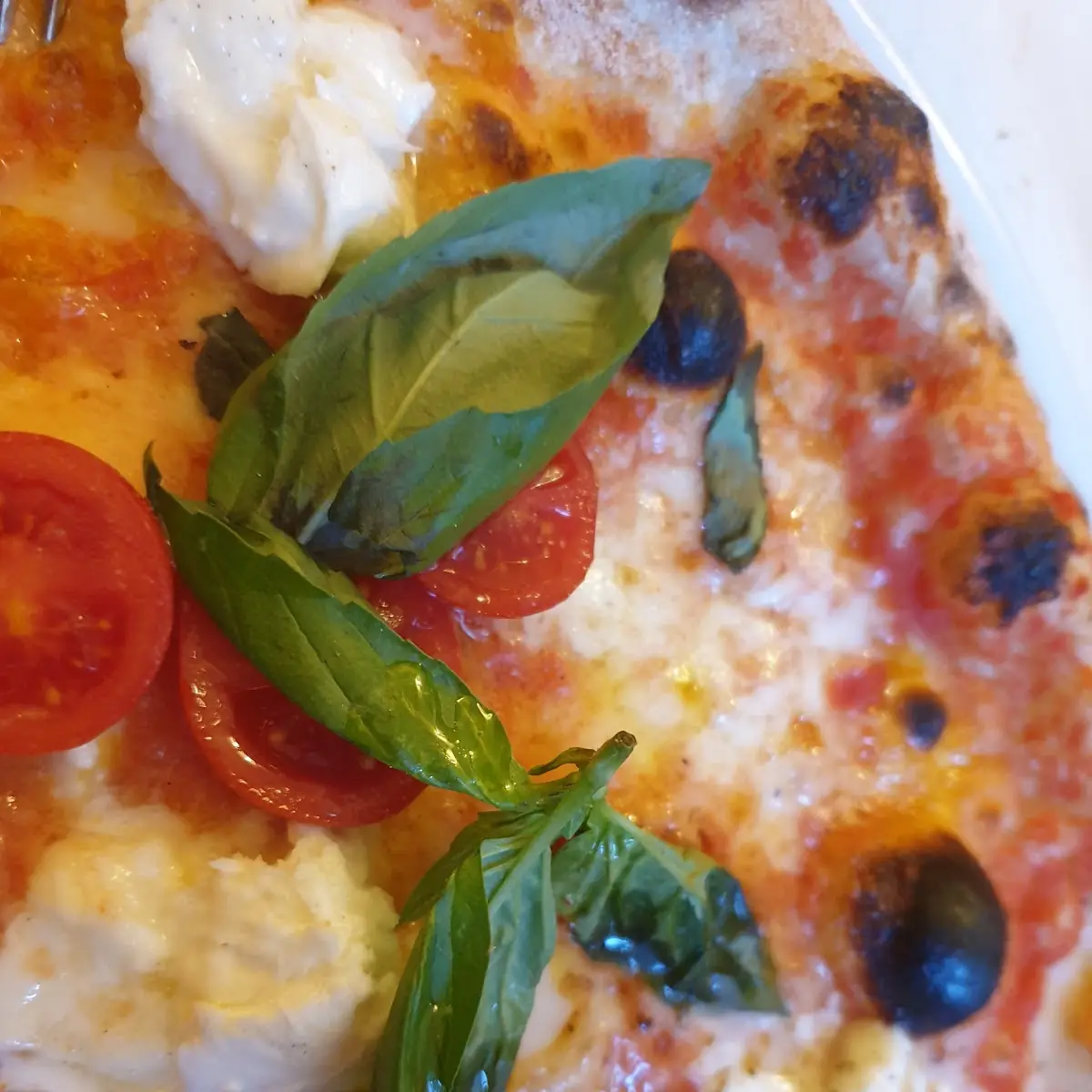 Büffelmozzarella Pizza