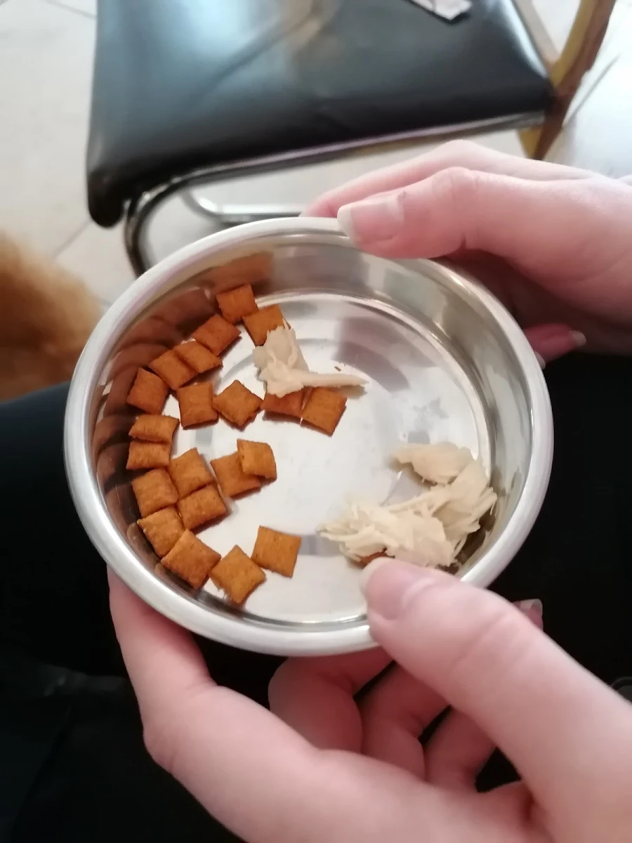 Katzenleckerli