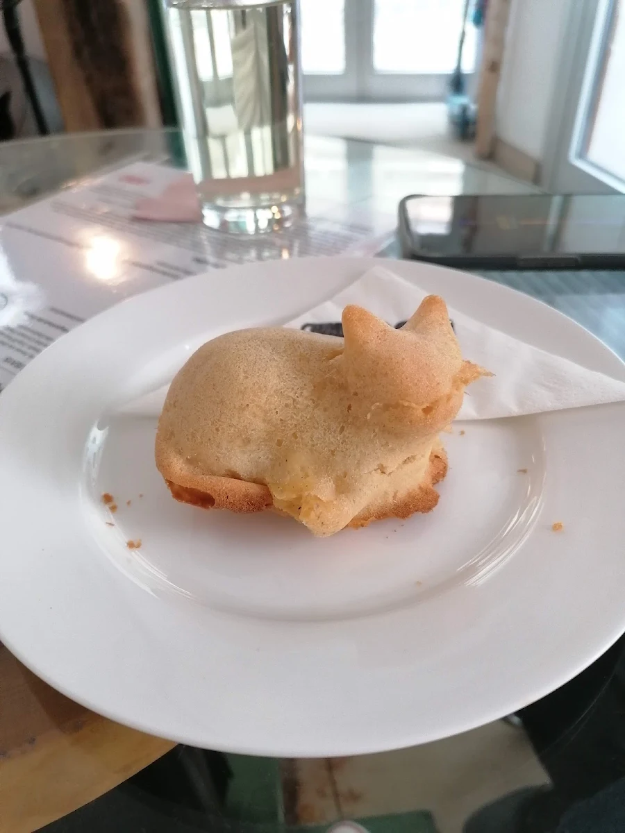 Vanilla Cat