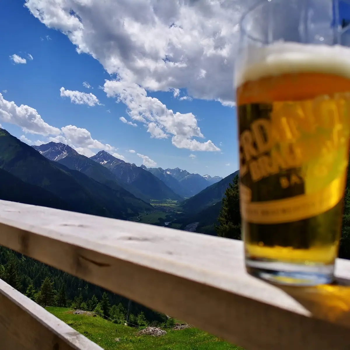 Bier