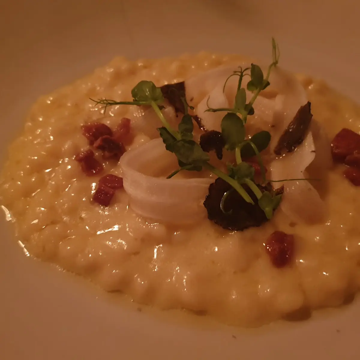 Sterrels Risotto
