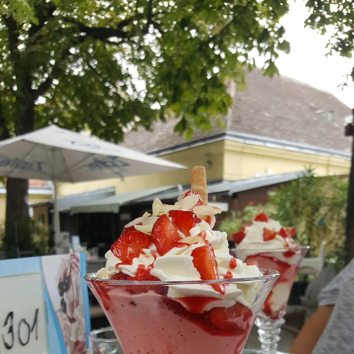Früchteeis