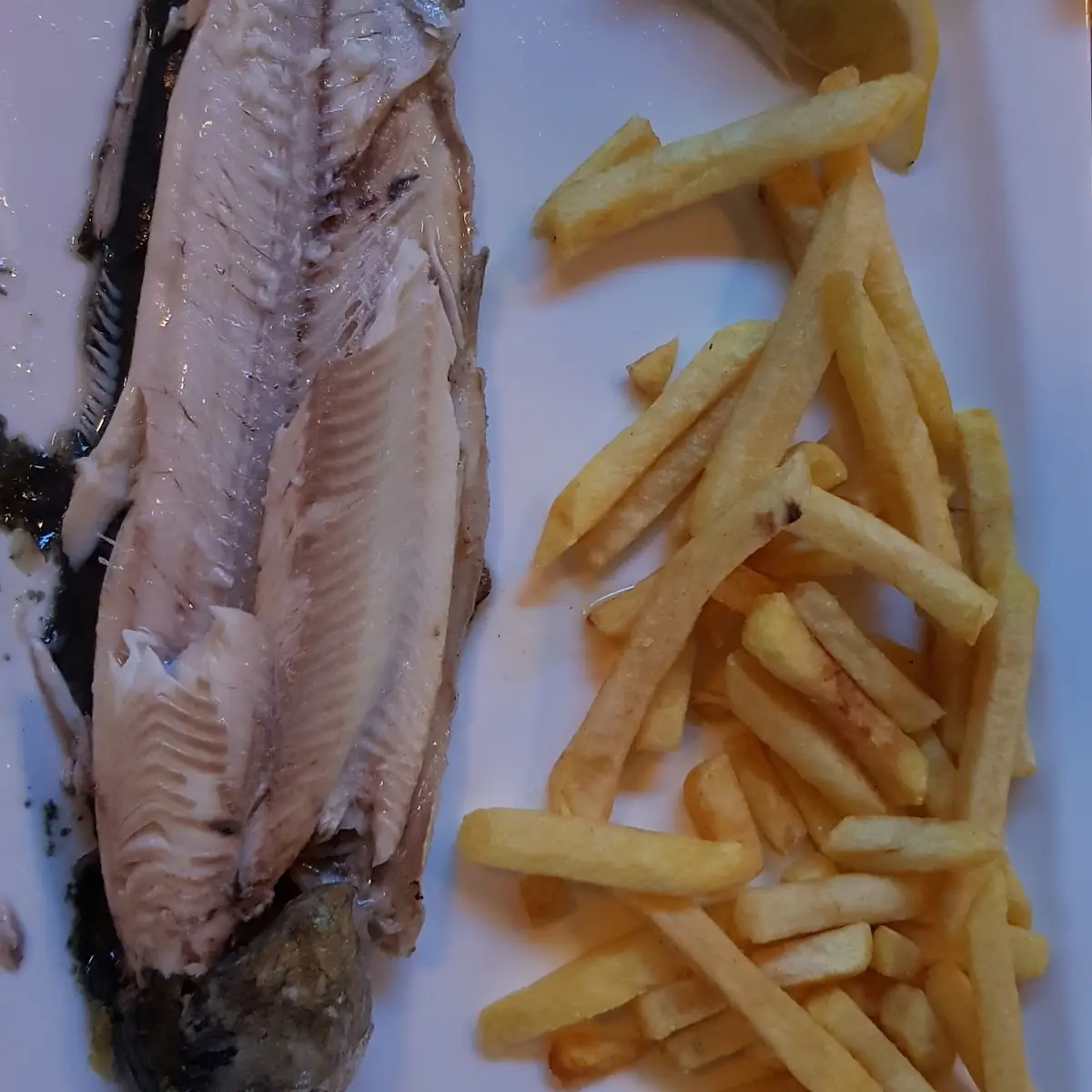 Forel