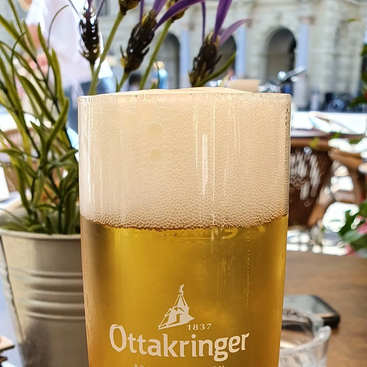Bier