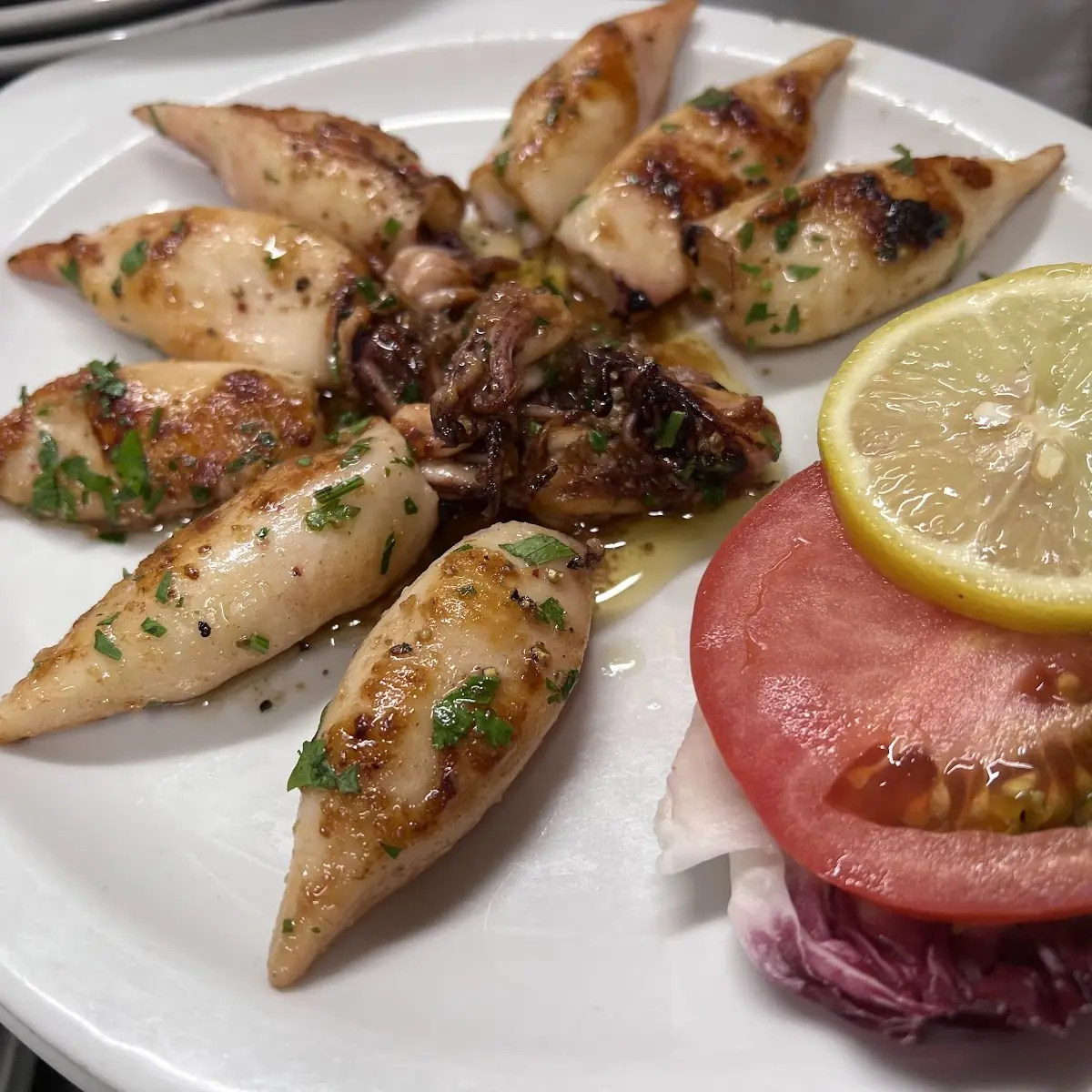 Calamari Gegrillt