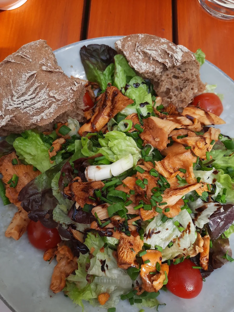 Salat Mit Eierschwammerl, wein & heuriger ganneshofer