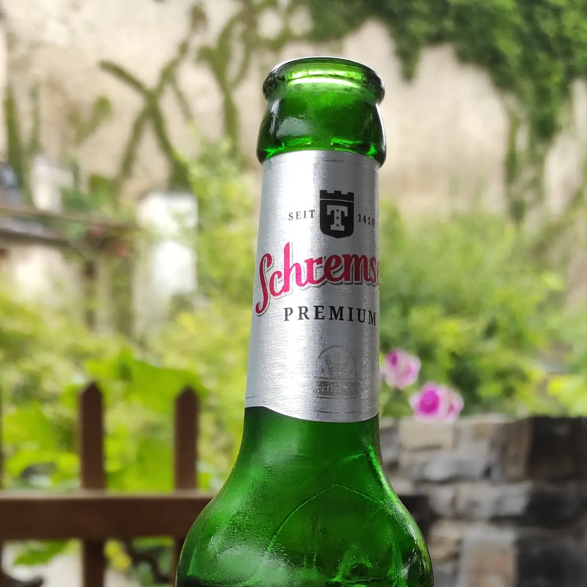 Bier