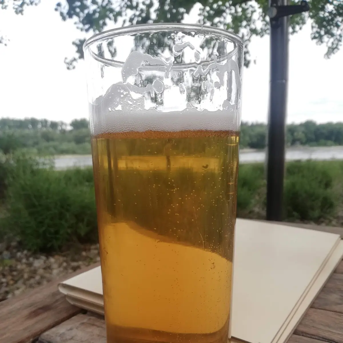 Bier