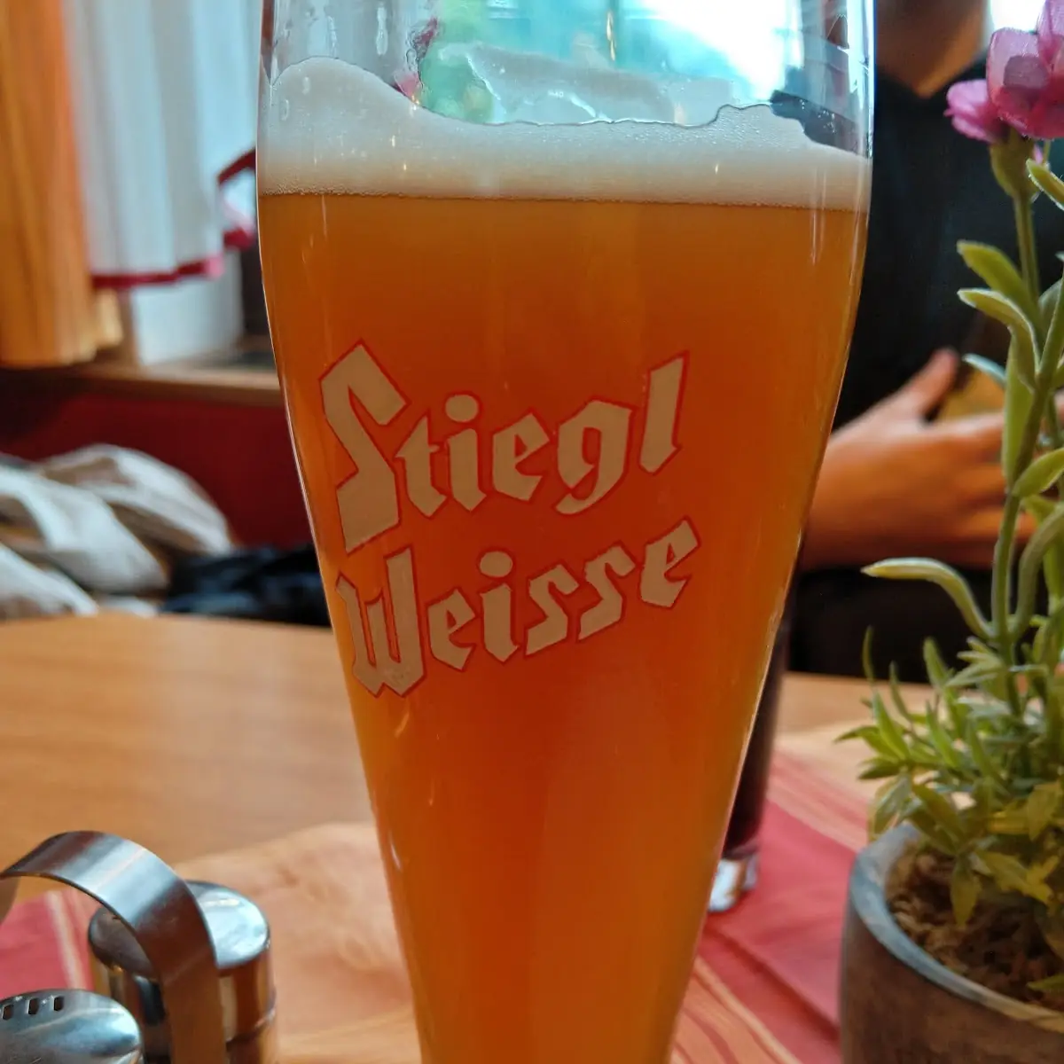 Bier