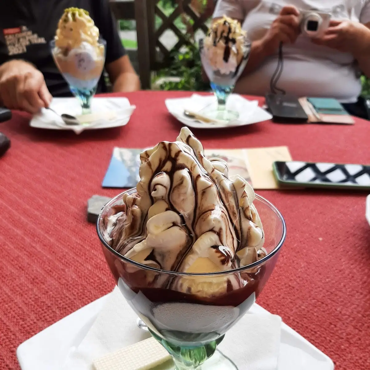 Coupe Dänmark