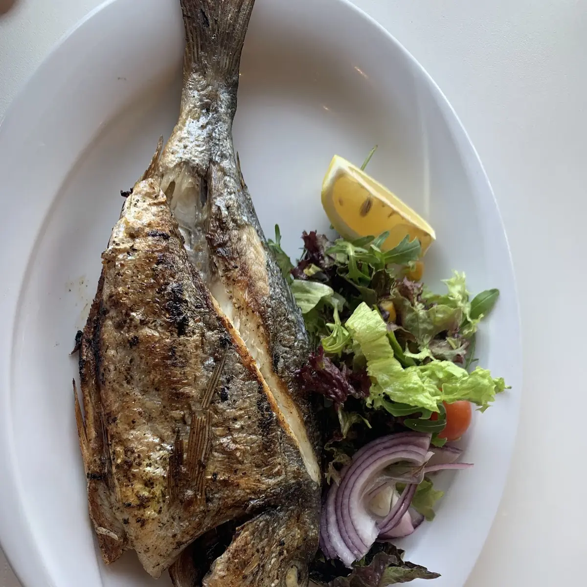 Grilled Supreme Fish