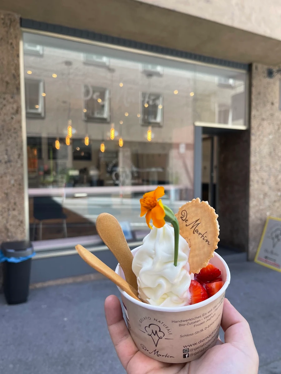 Frozen Yogurt