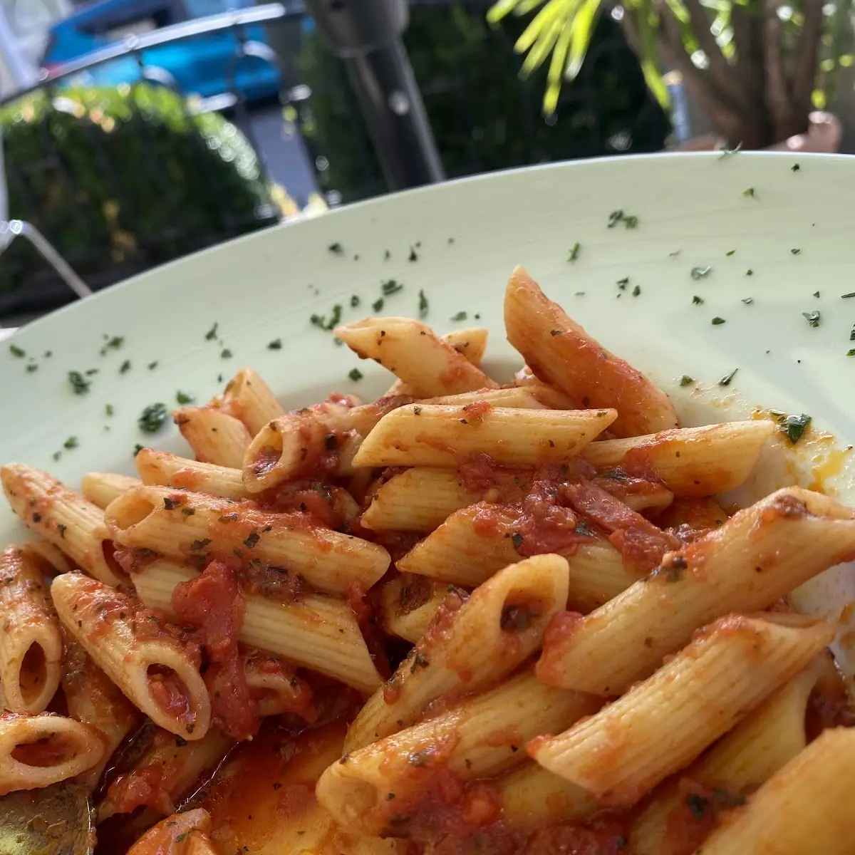 Penne Noodles