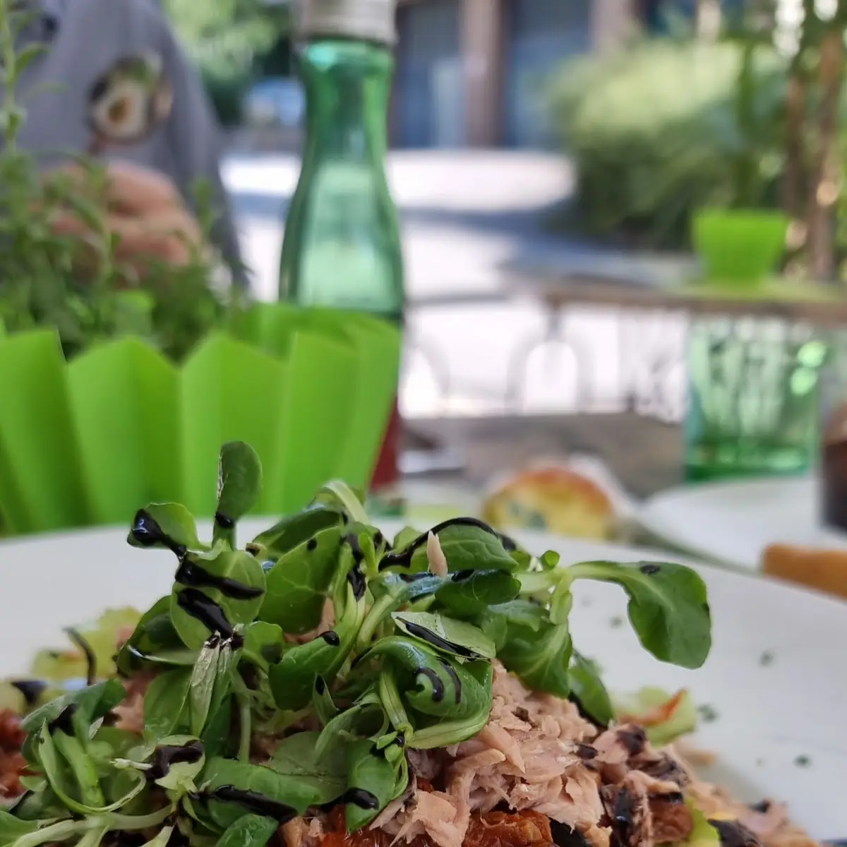 Tuna Salad