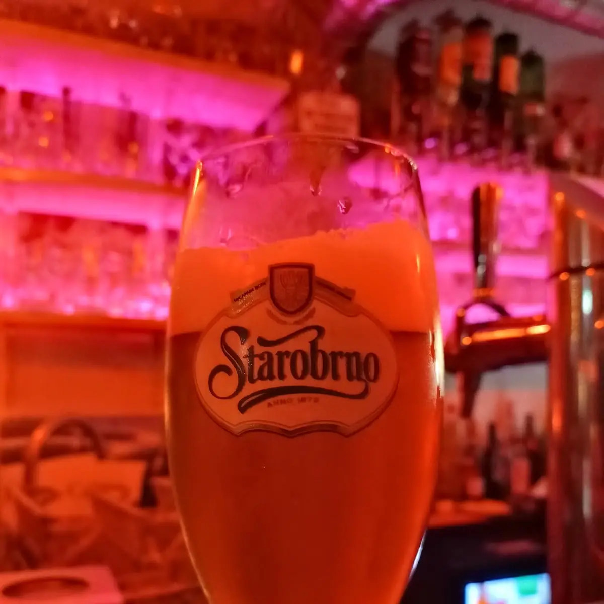 Starobrno Bier