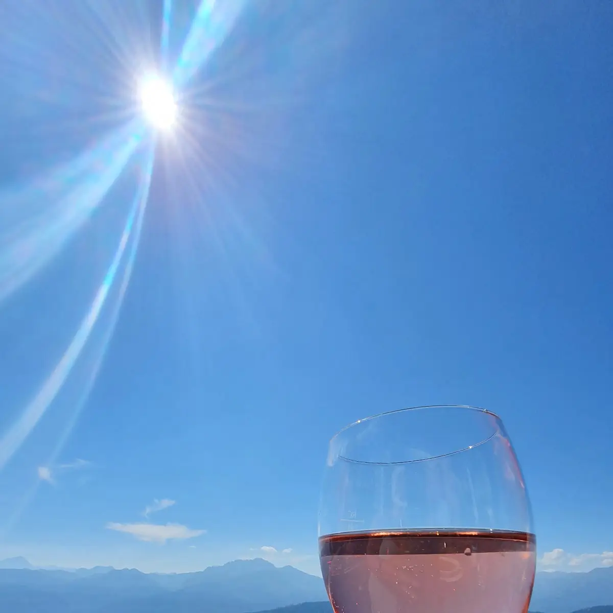 Rosé-schorle Und Mineralwasser