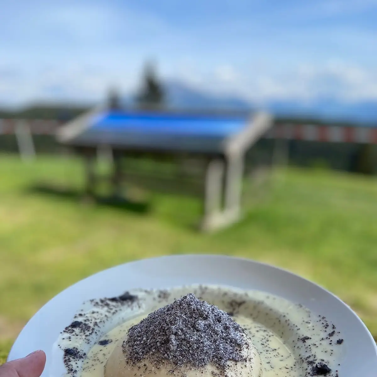 Germknödel Mit Vanillesosse Und Mohn