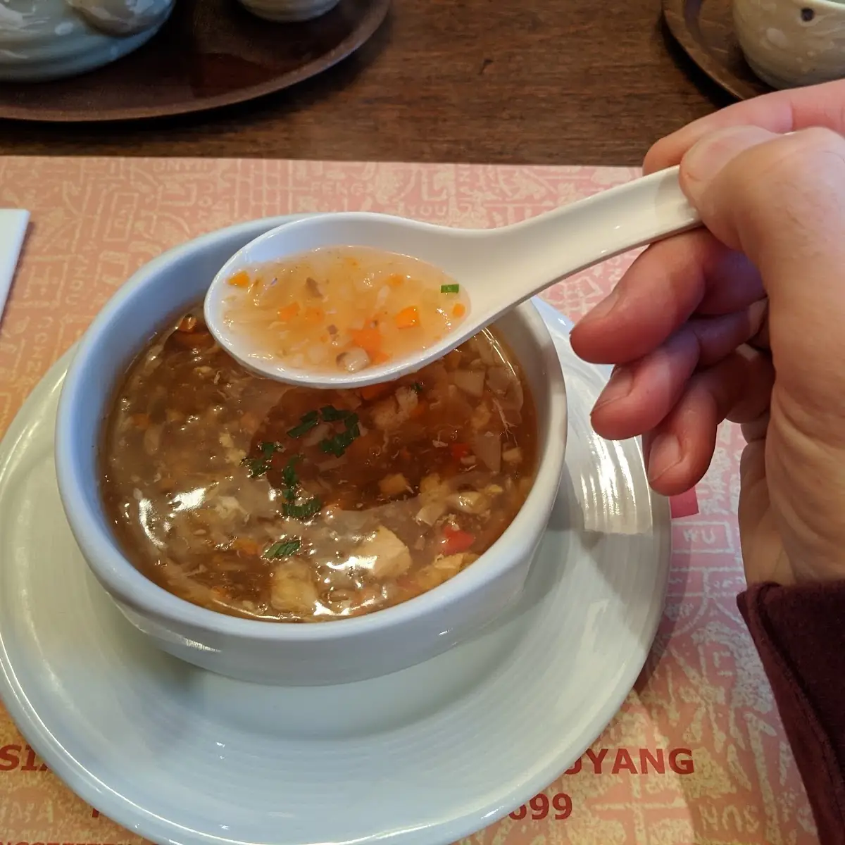 Süß Saure Suppe