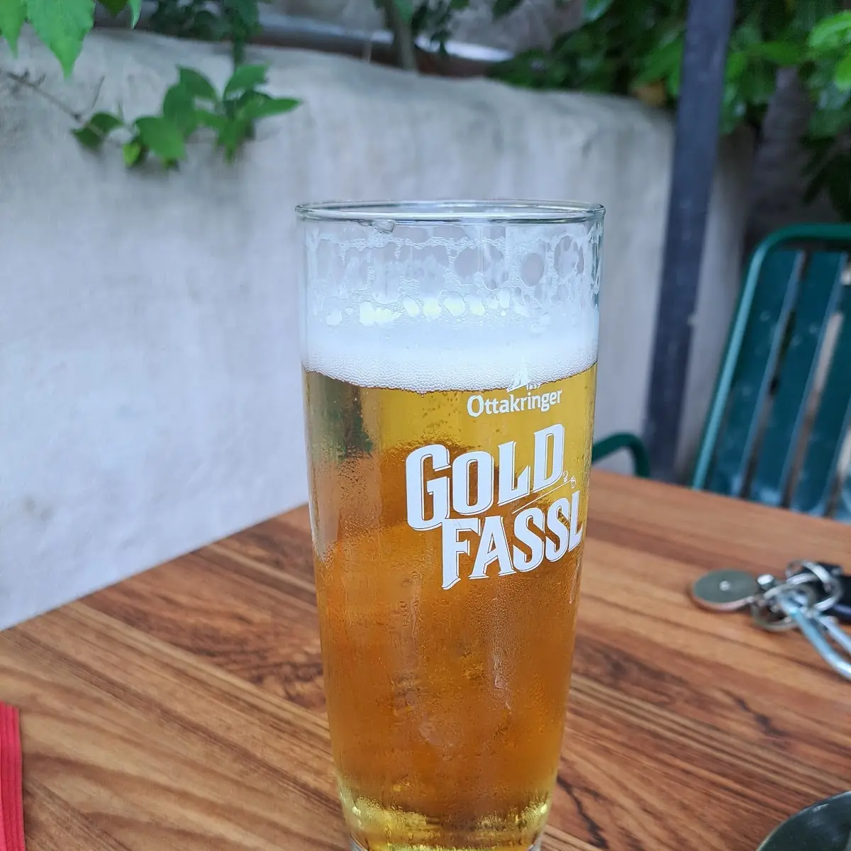 Bier