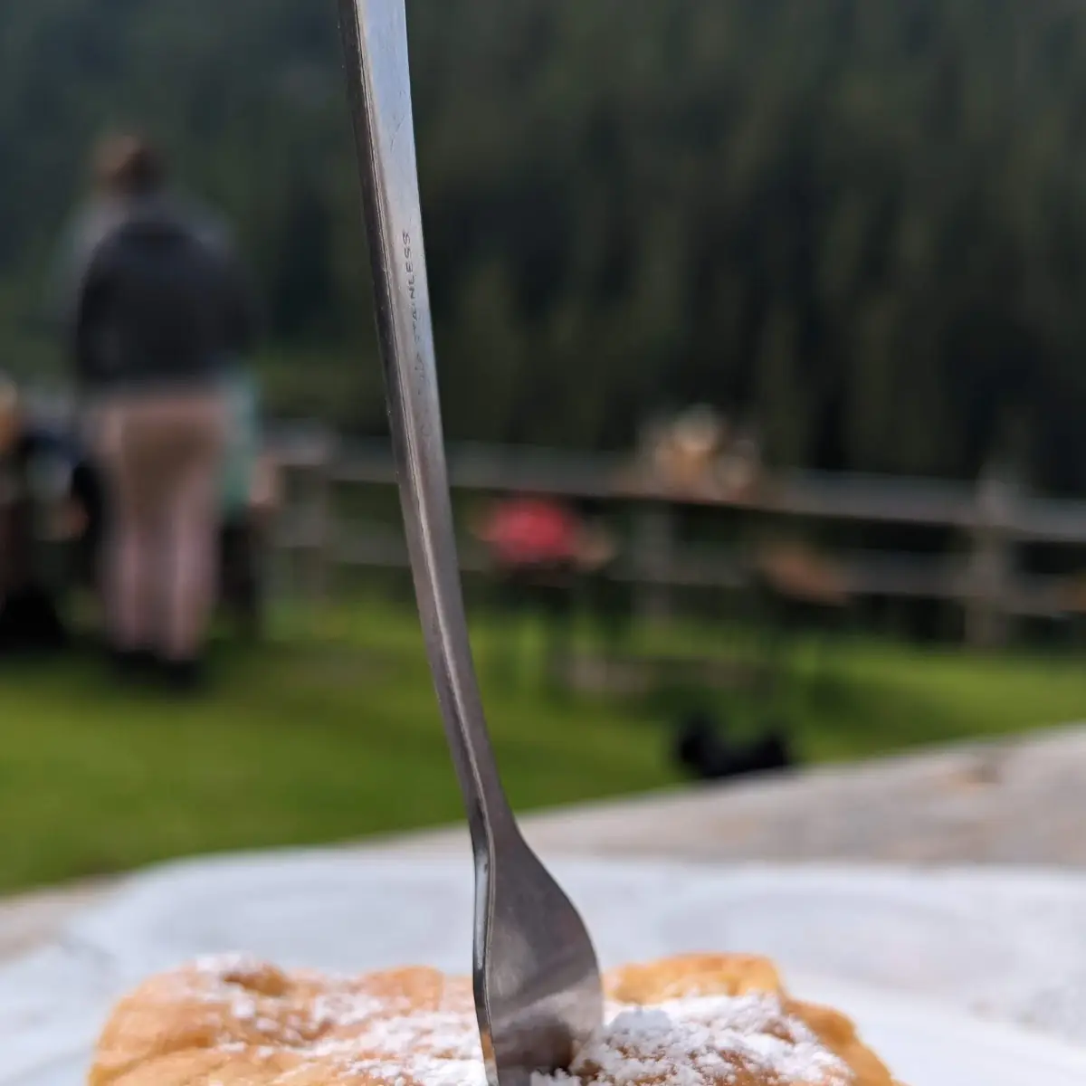 Apfelkuchen