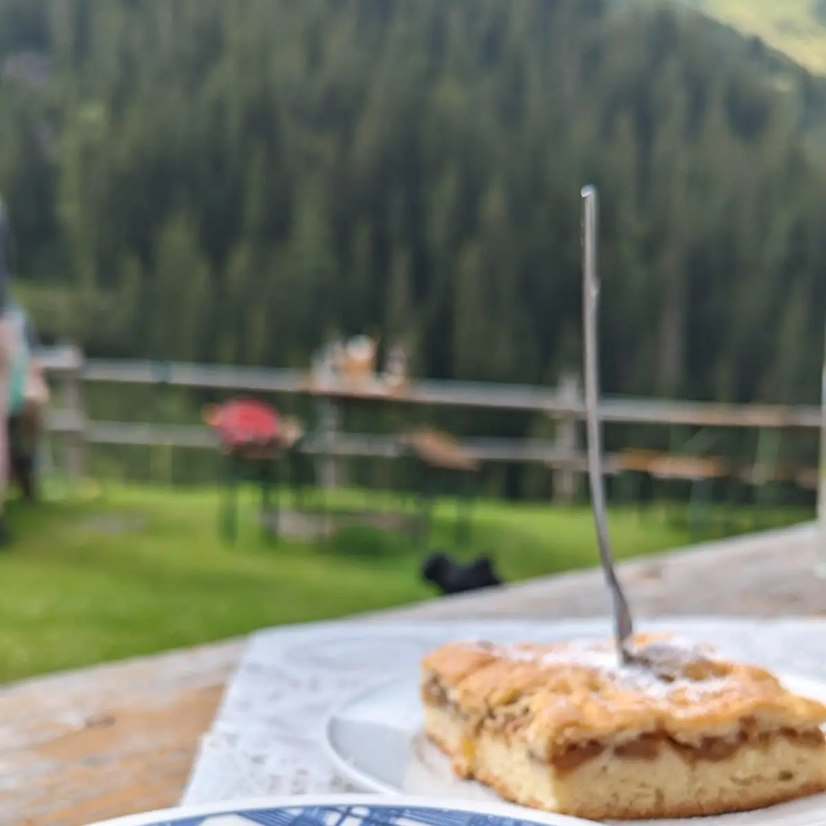 Moosbeernocken