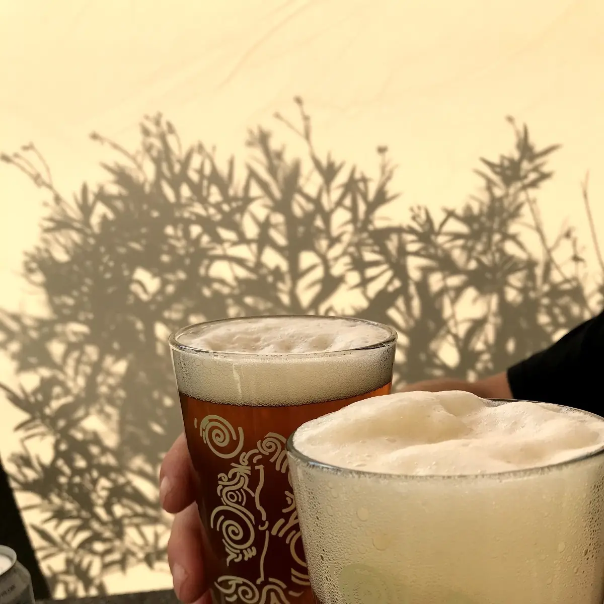 Bevog Craft Bier Aus Unserer Region