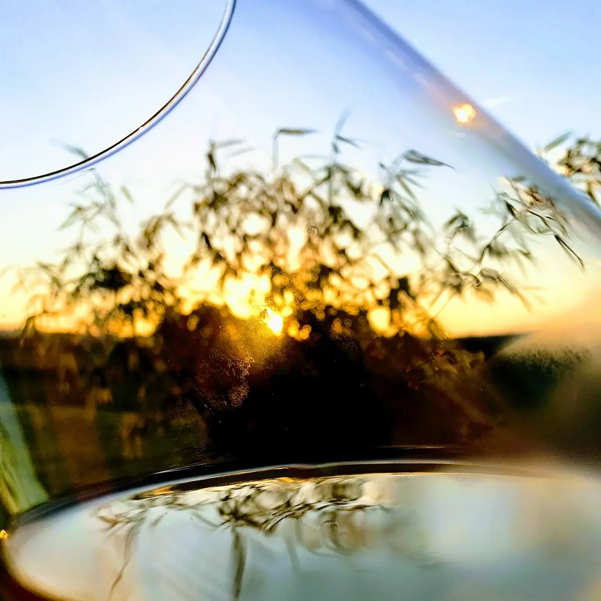 Steirischer Wein