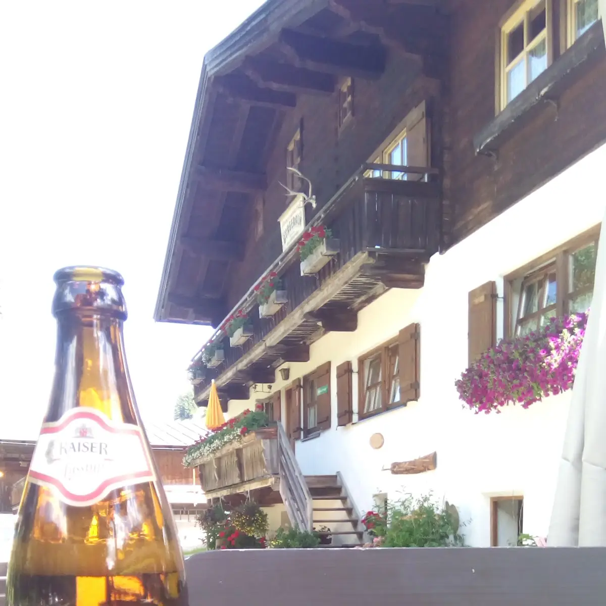 Kiser Bier
