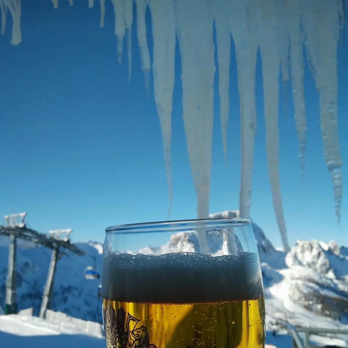 Pivo