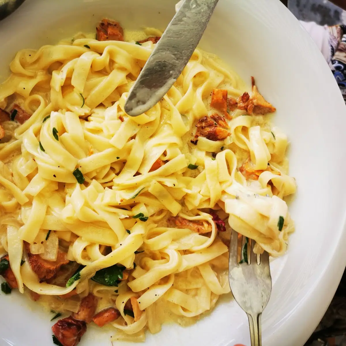 Bandnudeln Mit Eierschwammerl Und Joghurtsauce