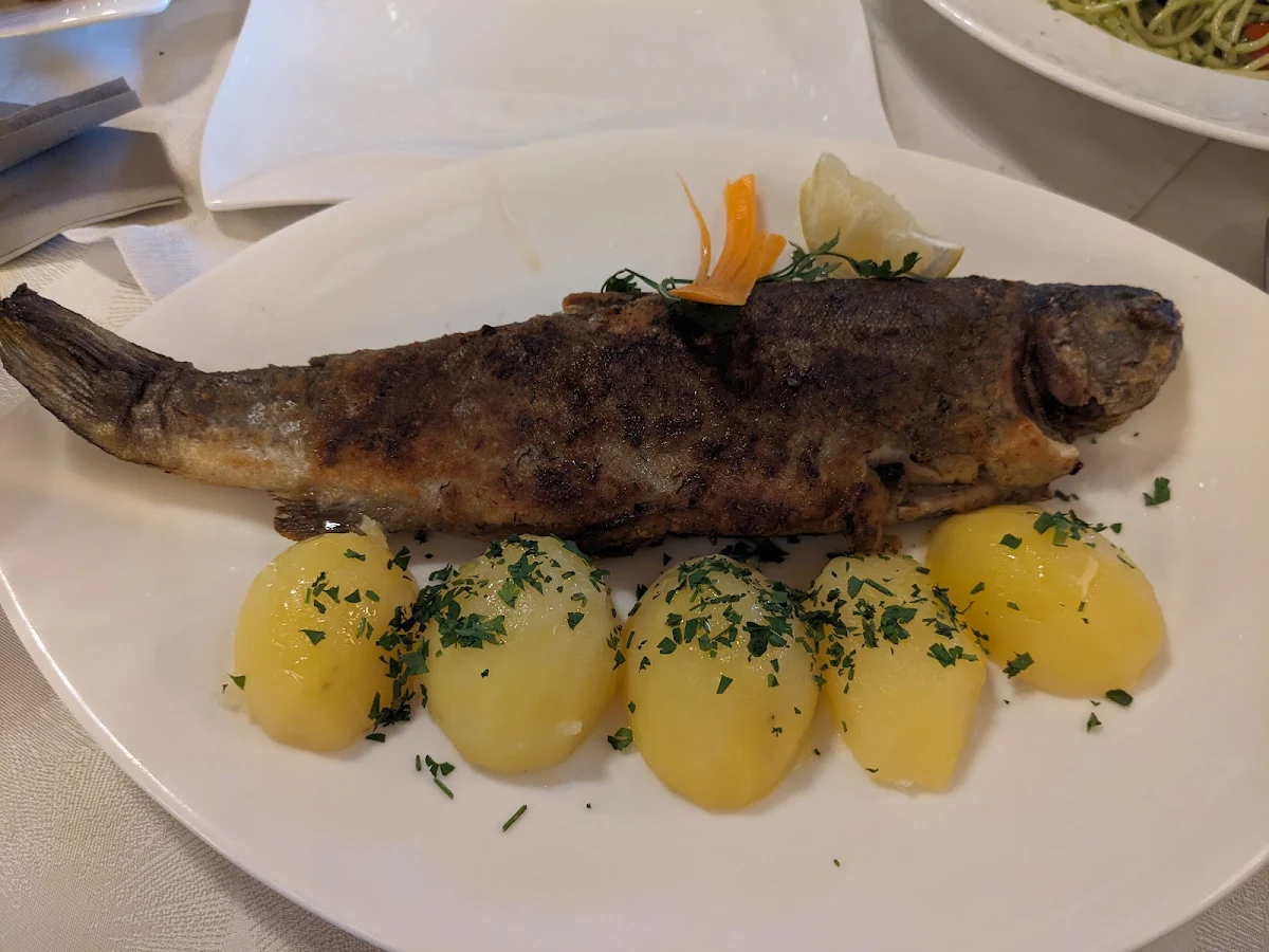 Gebratene Forelle Im Ganzen
