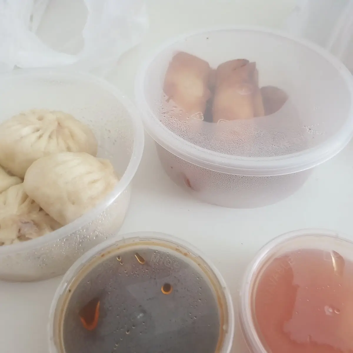 Xiao Long Bao & Mini Frühlingsrollen