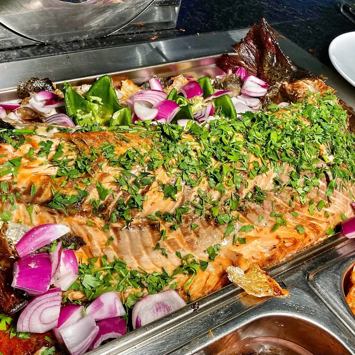 Salmon