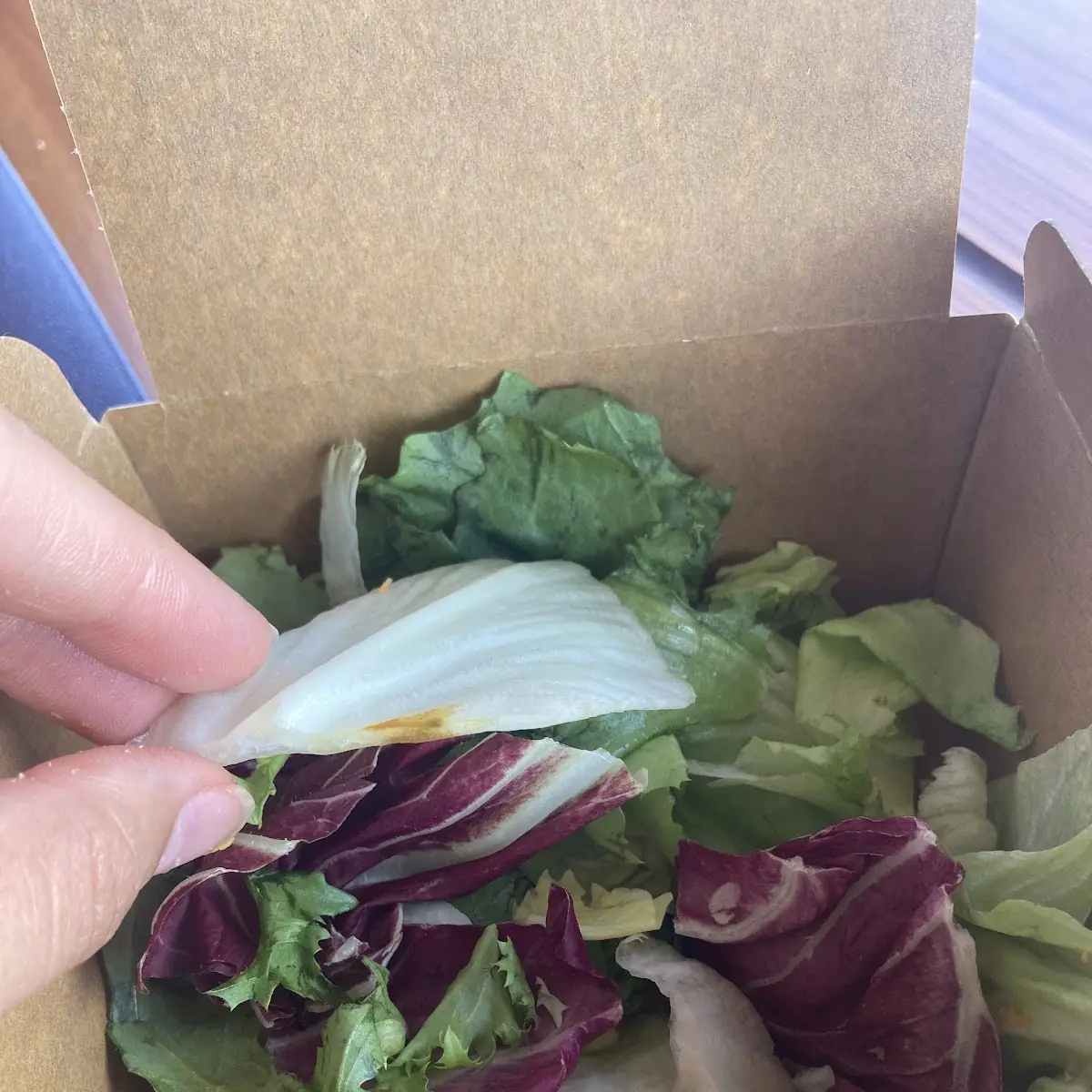 Fresh Salad