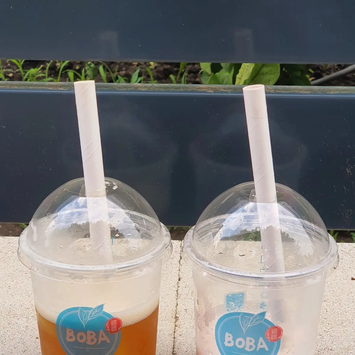 Bubble Tea
