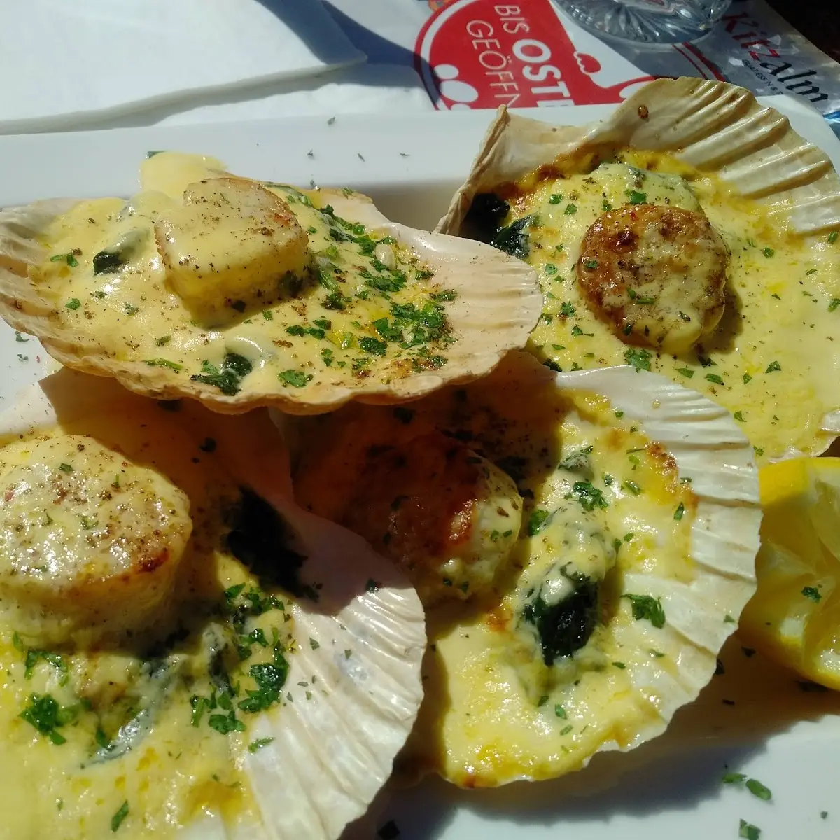 Jakobsmuscheln Mit Hollandaise
