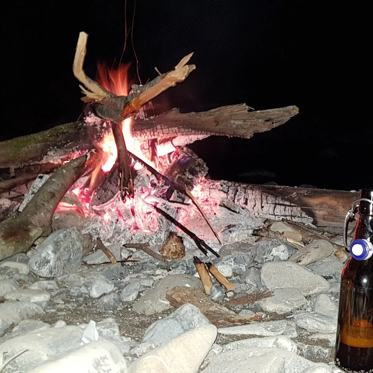Bier
