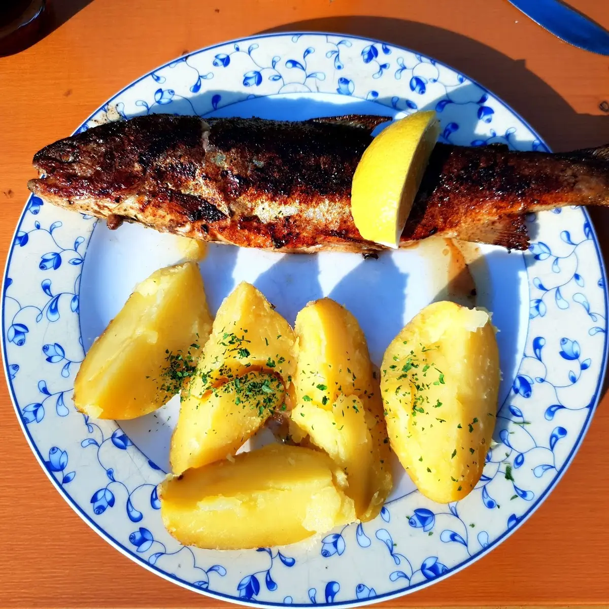 Gegrillte Forelle Mit Kartoffeln