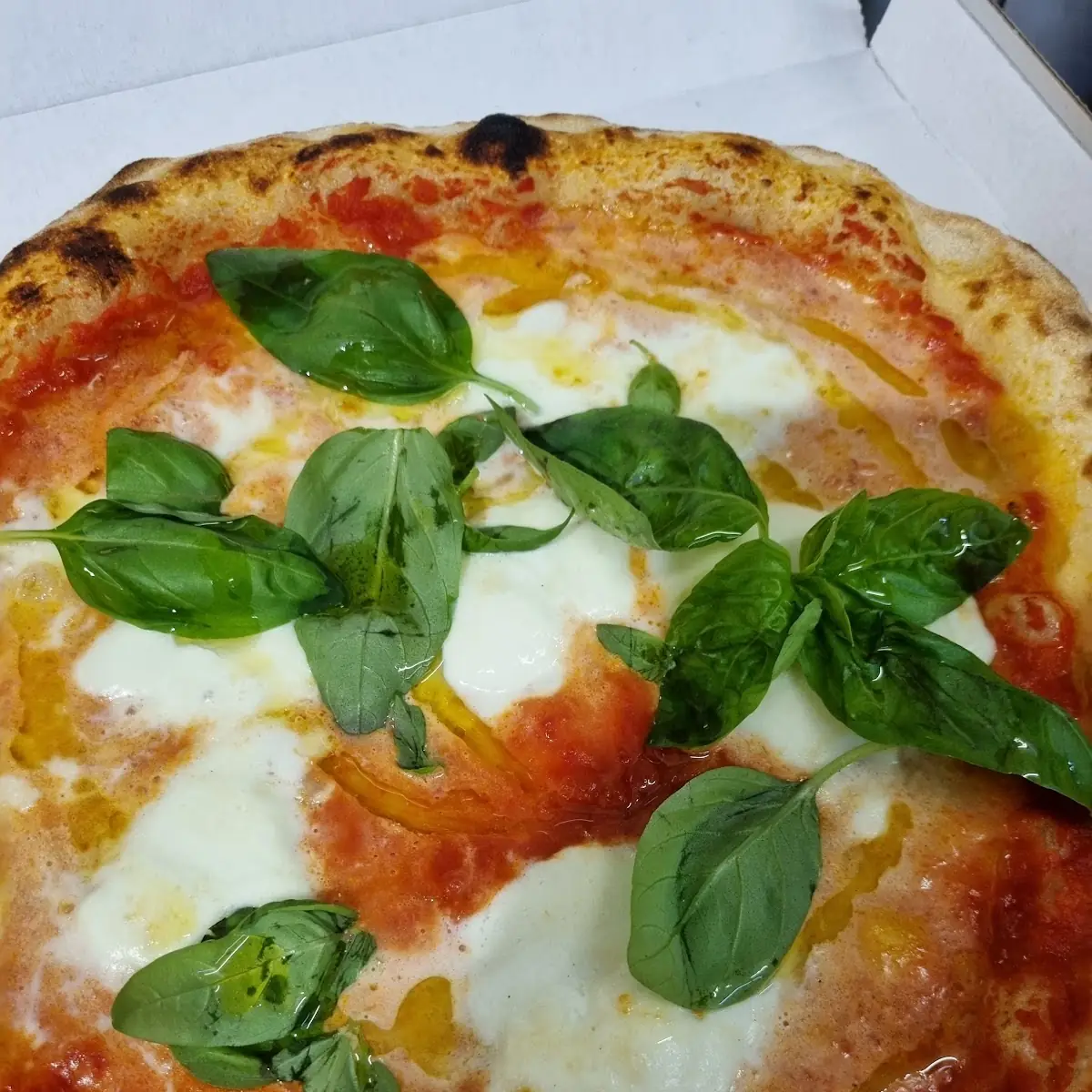 Pizza Bufalina