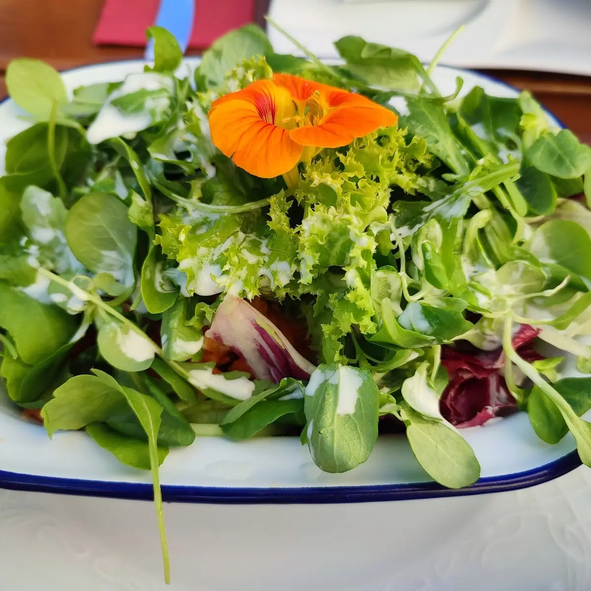 Gemischter Salat