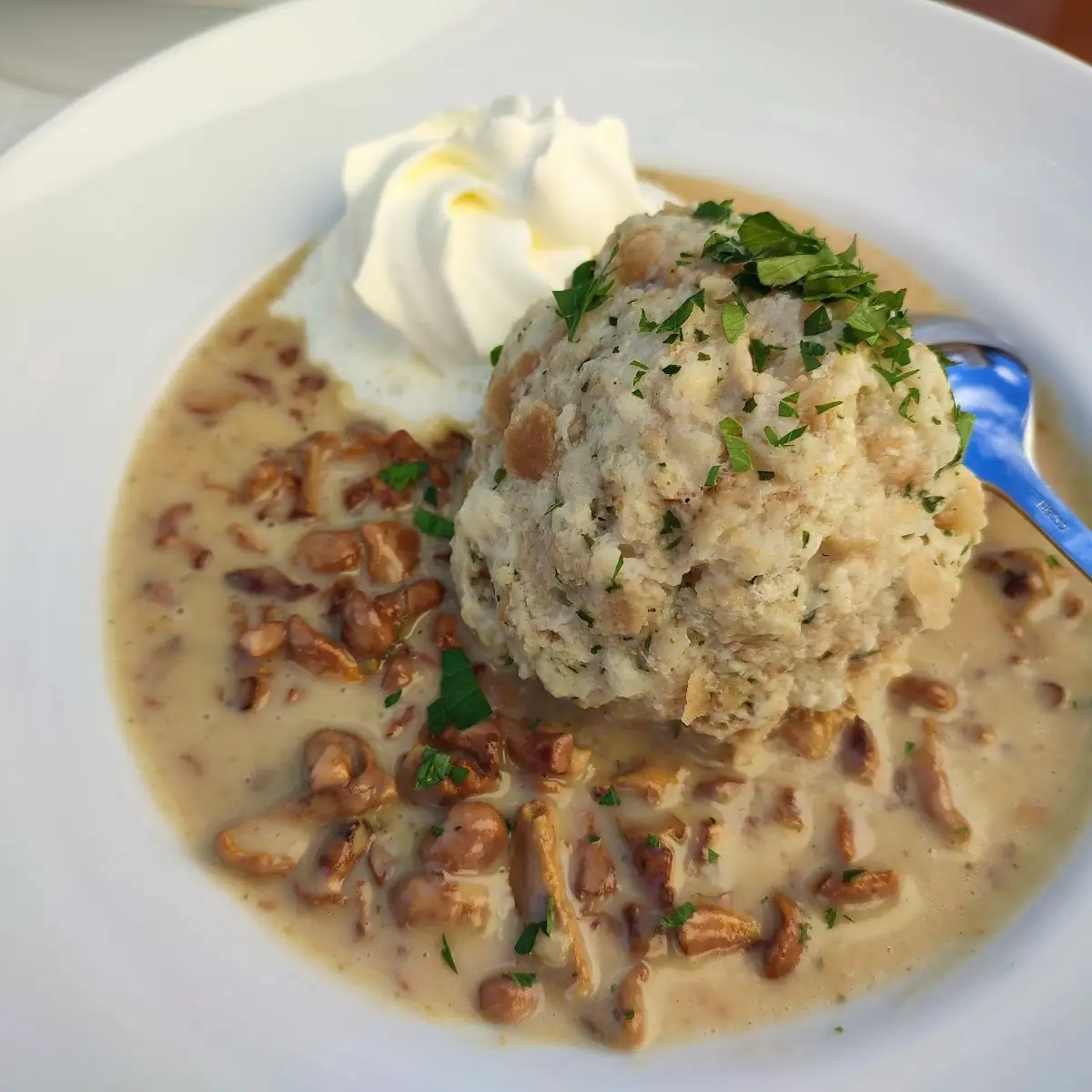 Semmelknödel Mit Schwammerl