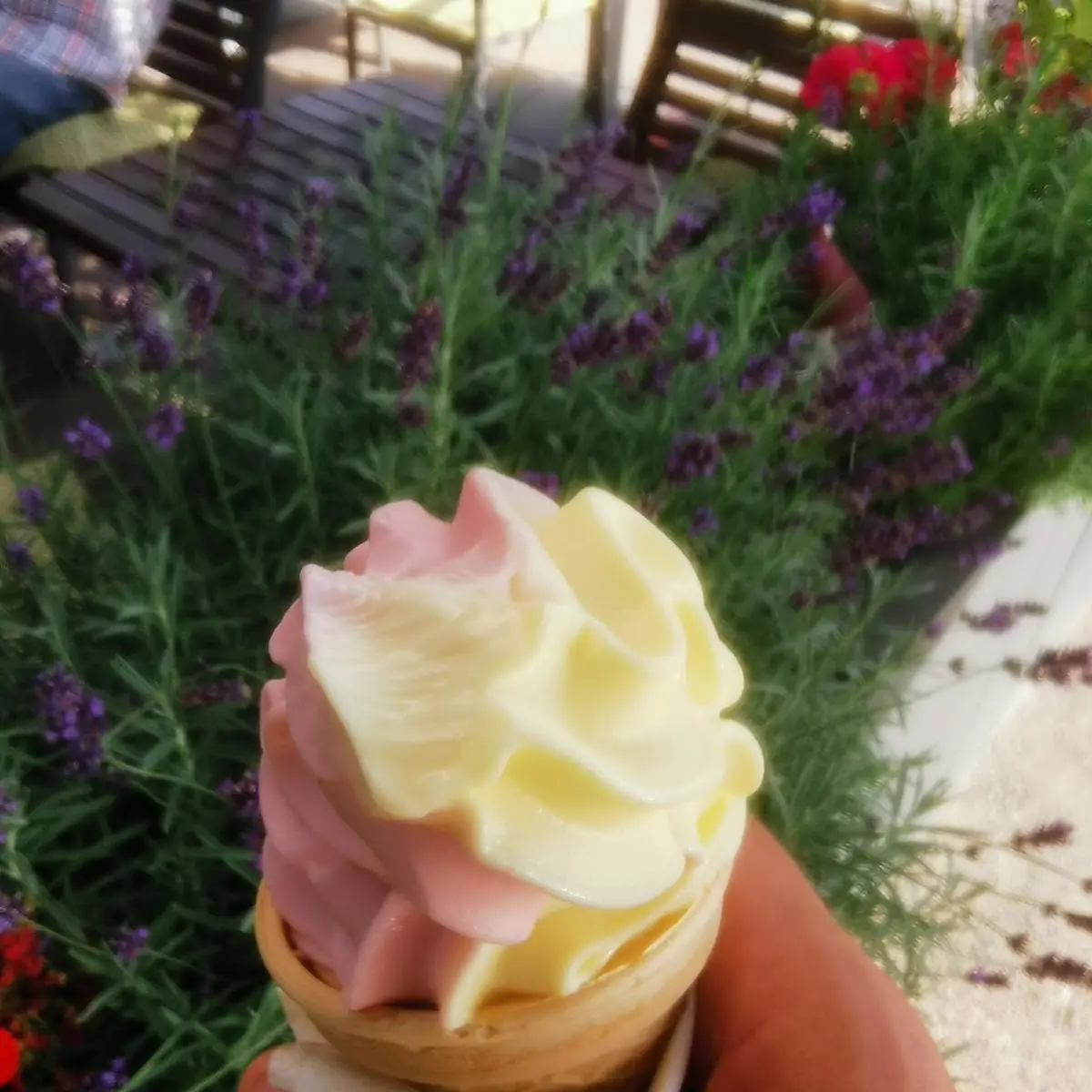 Glace Frais Vanille