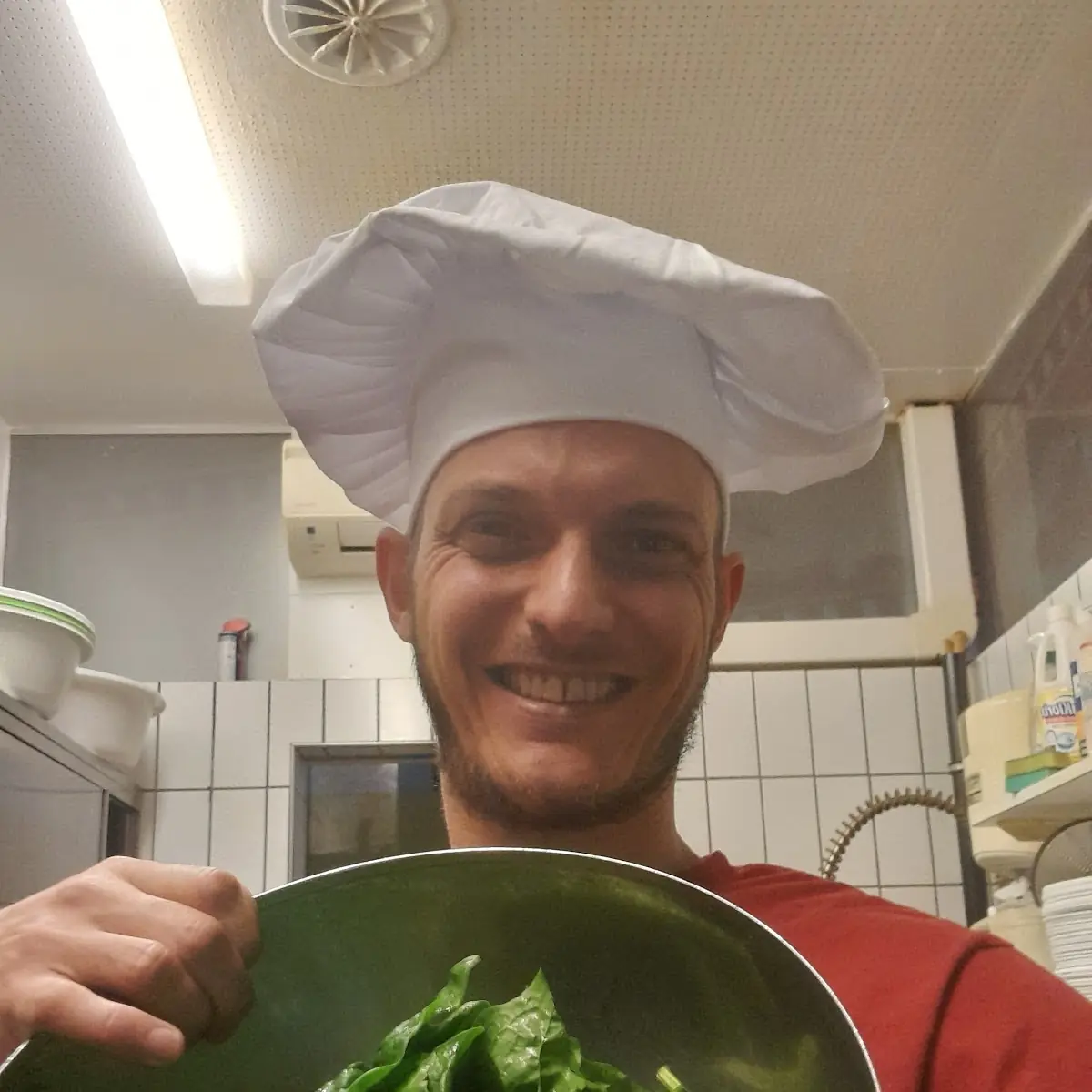 Frischer Blattspinat