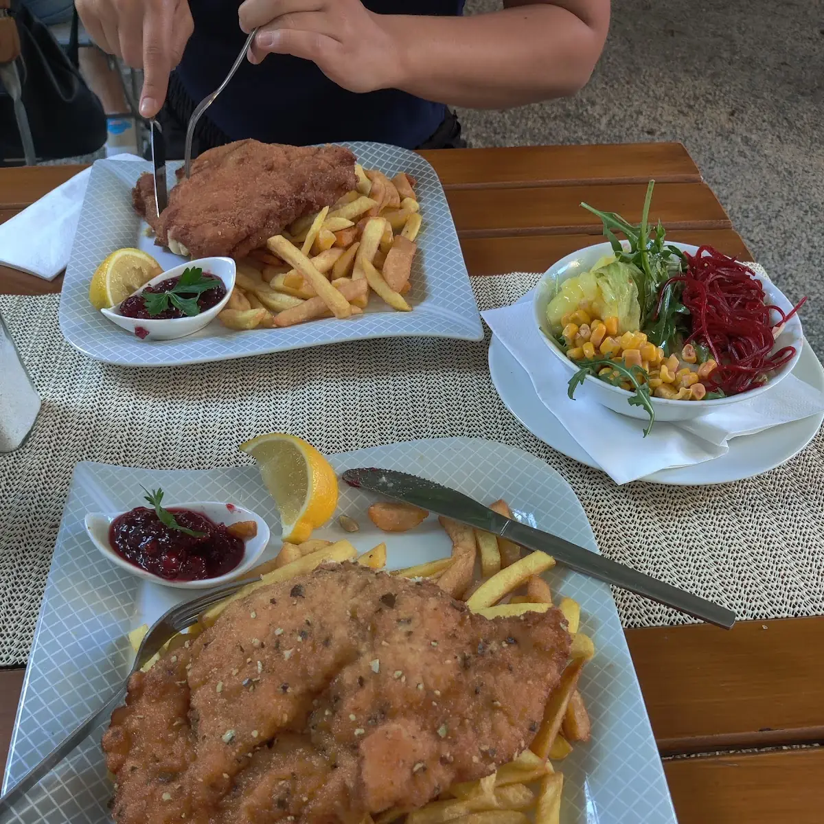 Pumpkin Seed Schnitzel Turkey